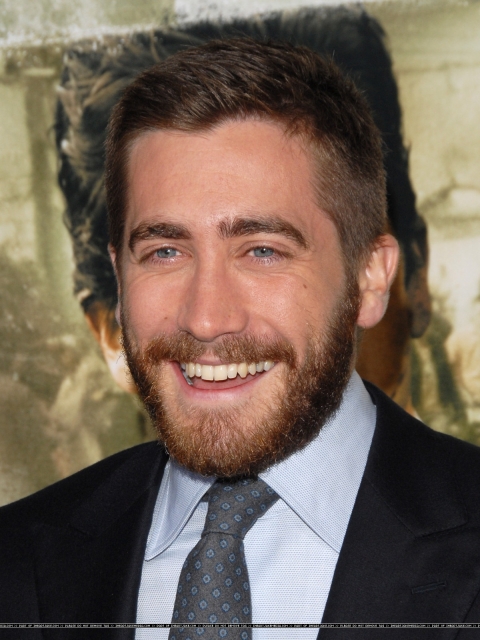 144.jpg