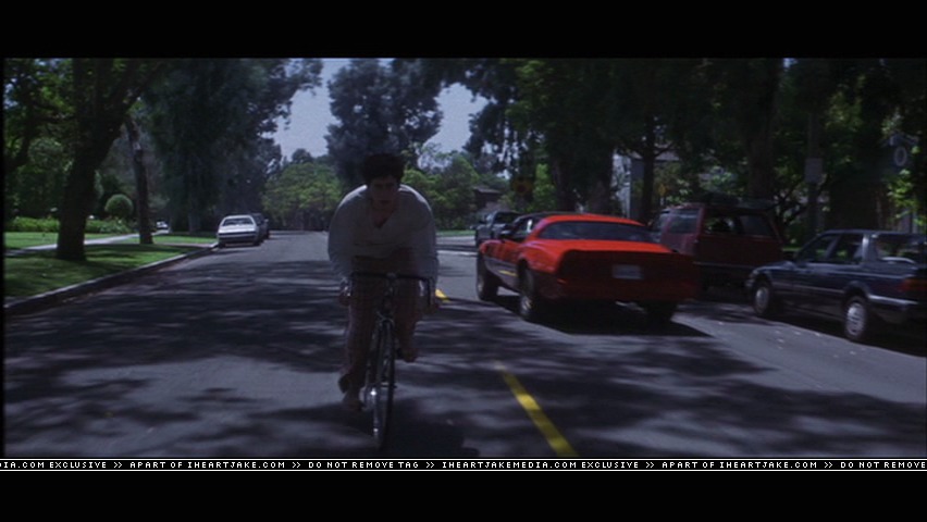 cap052.jpg