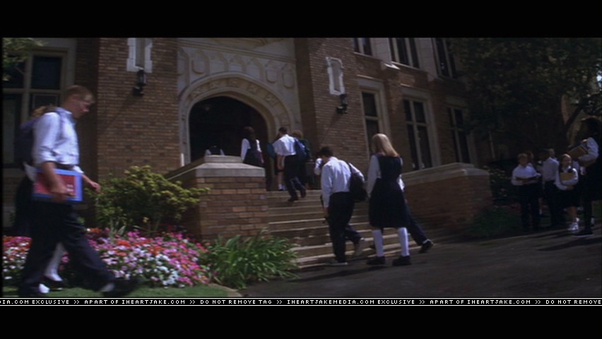 cap240.jpg