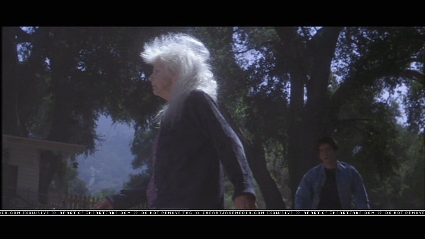cap302.jpg