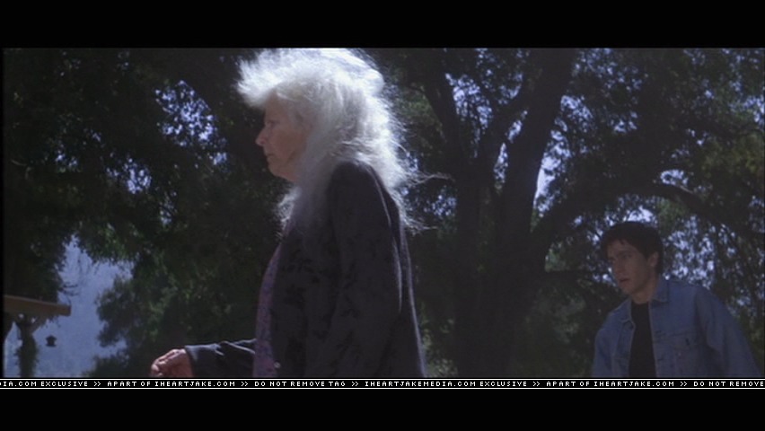 cap304.jpg