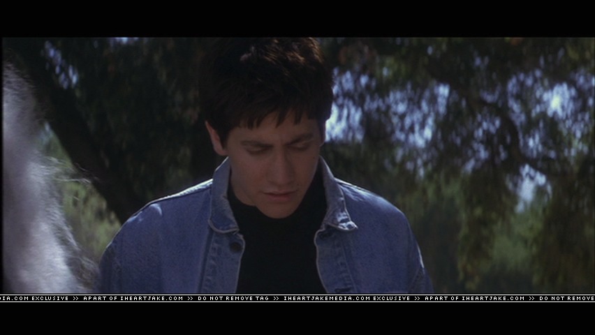 cap318.jpg