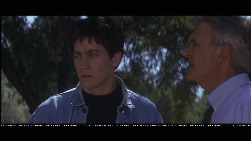 cap323.jpg