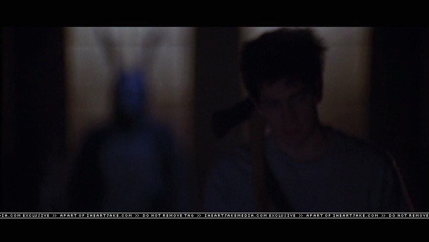 cap349.jpg