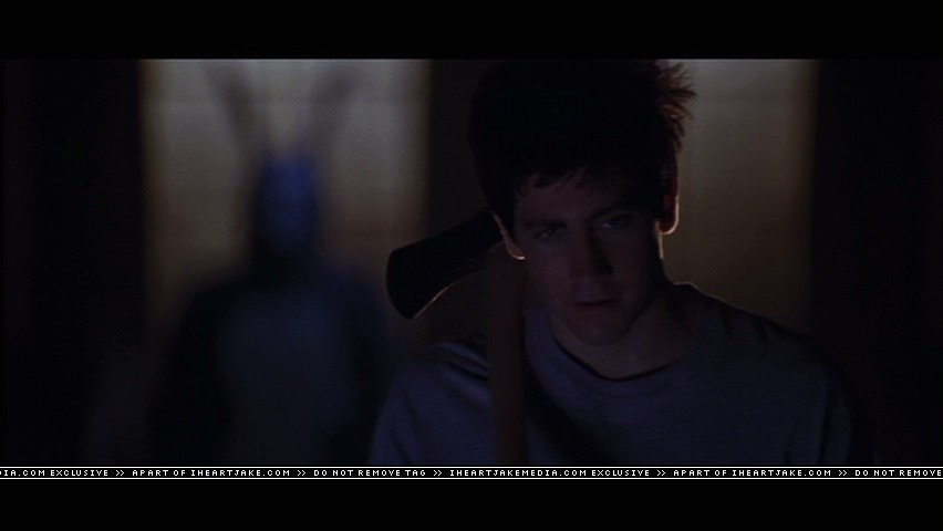 cap353.jpg