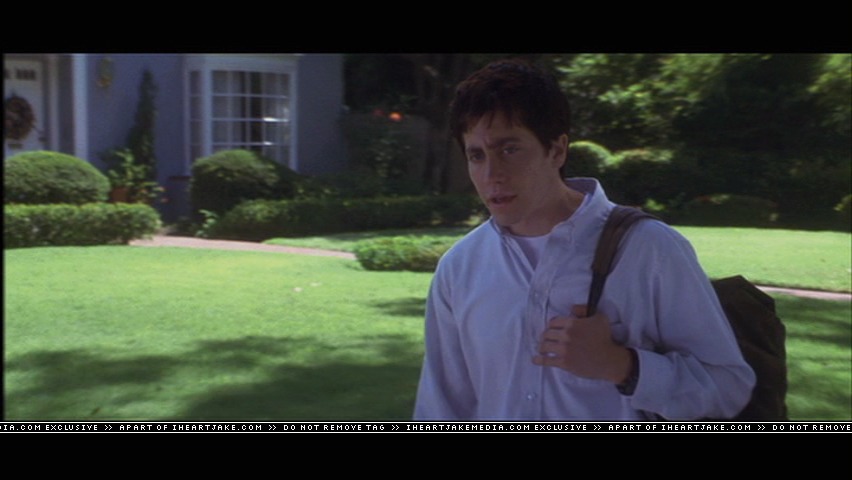 cap381.jpg