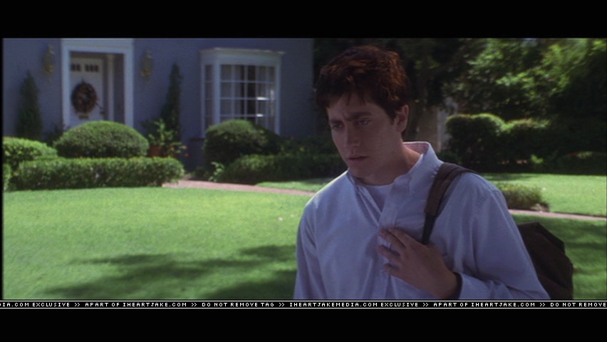 cap385.jpg