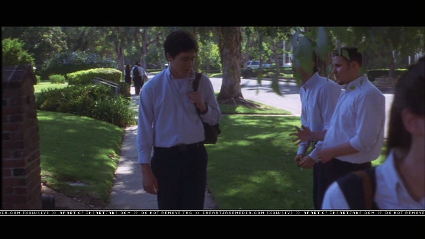 cap387.jpg