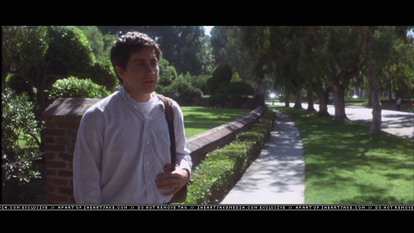 cap426.jpg