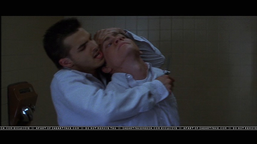 cap480.jpg