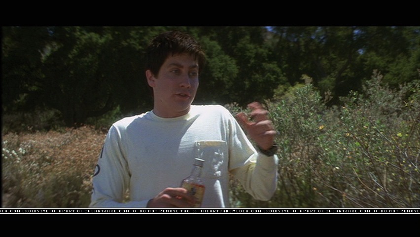 cap506.jpg