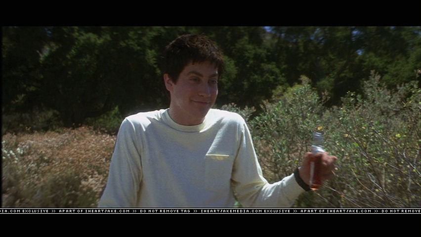 cap512.jpg
