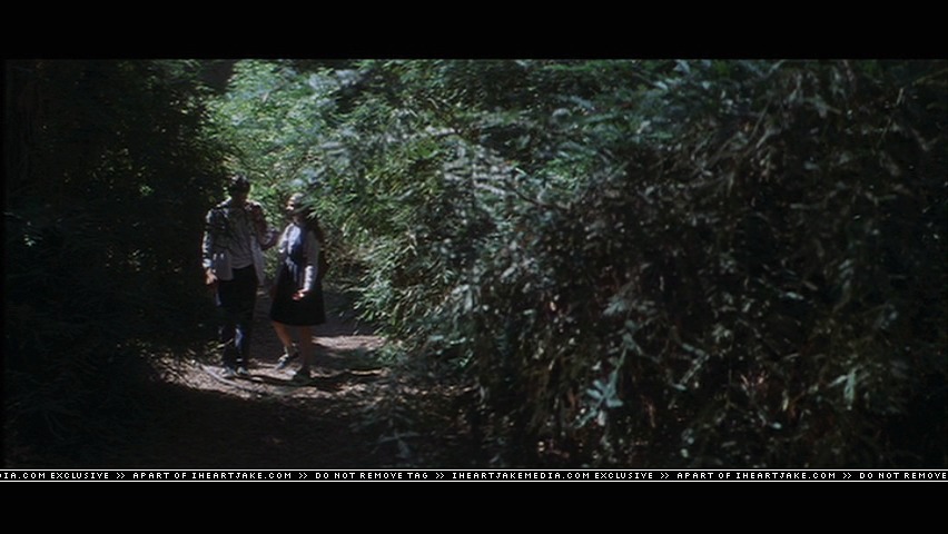 cap687.jpg