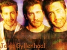 Filename=wallpaper2_jg.jpg
Filesize=166KiB
Dimensions=1024x768
Date added=Feb 13, 2006 wallpaper2_jg.jpg