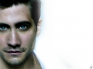 Filename=wp97.jpg
Filesize=199KiB
Dimensions=1024x768
Date added=Feb 13, 2006 wp97.jpg