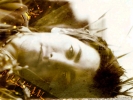 Filename=wp23.jpg
Filesize=560KiB
Dimensions=800x600
Date added=Feb 13, 2006 wp23.jpg