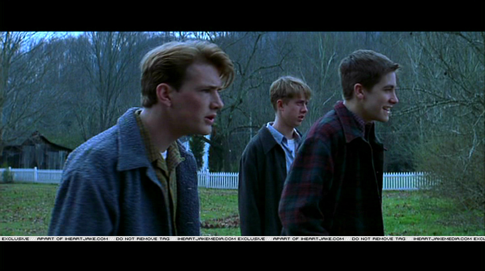 Pdvd_057.jpg