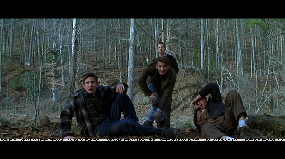 Pdvd_158.jpg