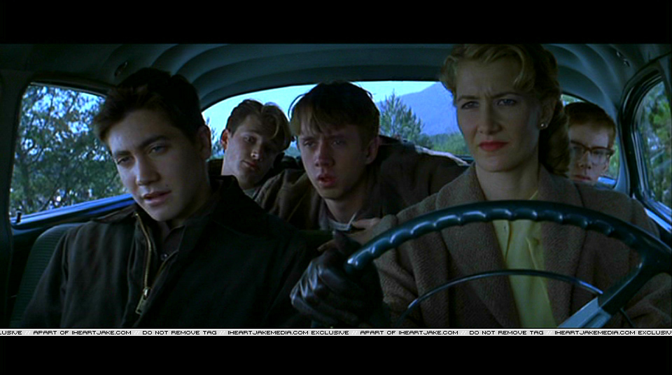 Pdvd_224.jpg