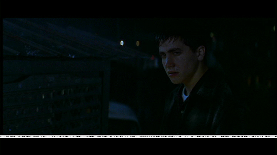 Pdvd_317.jpg