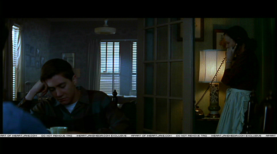 Pdvd_320.jpg