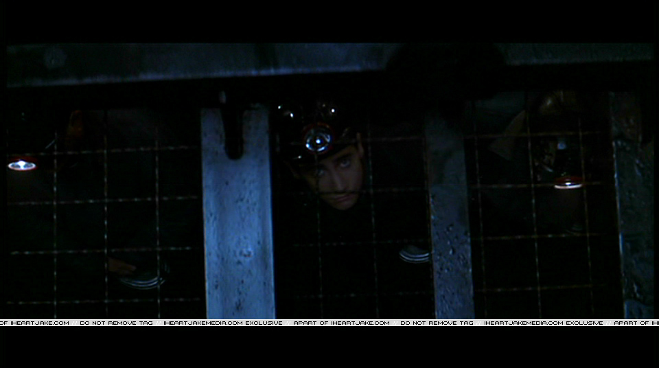 Pdvd_340.jpg