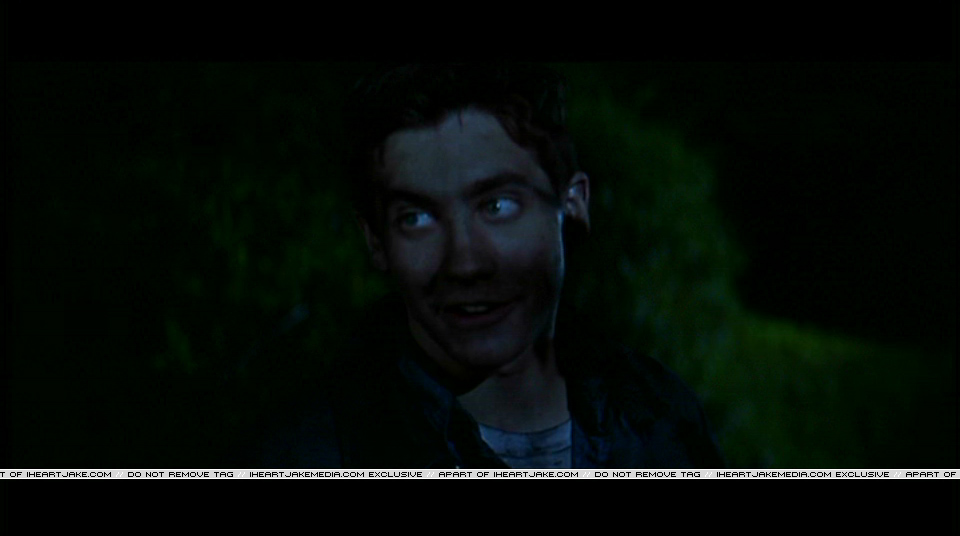 Pdvd_396.jpg