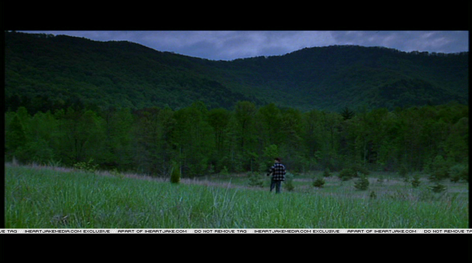 Pdvd_400.jpg