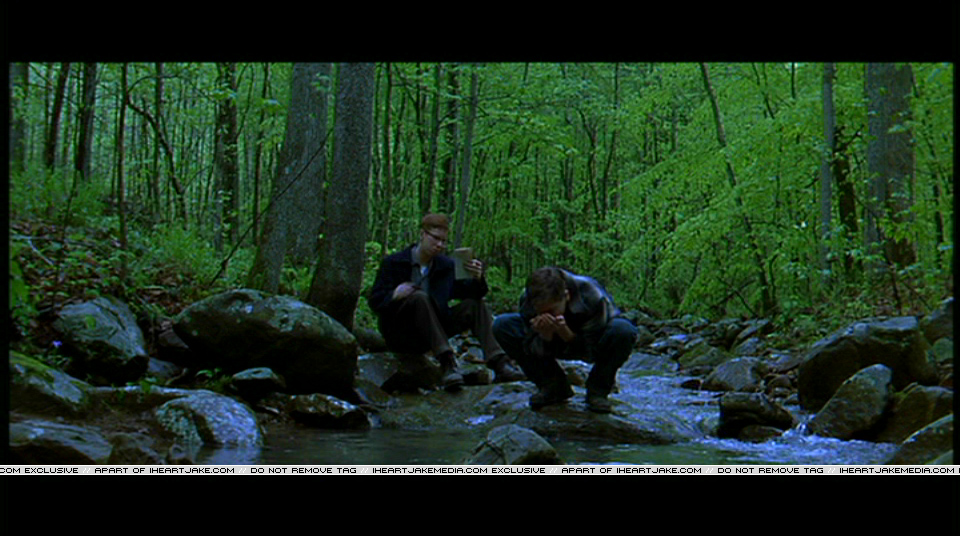 Pdvd_405.jpg