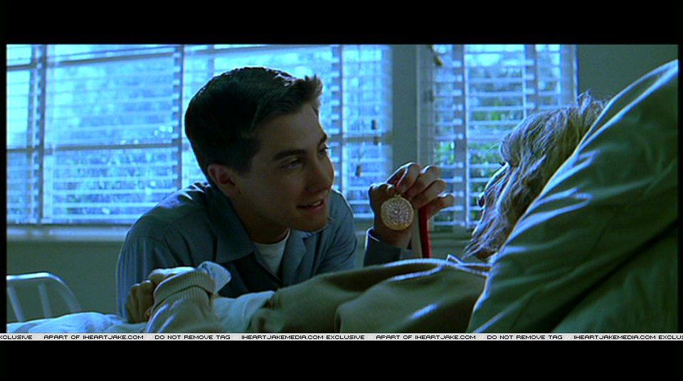 Pdvd_504.jpg