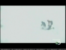 Filename=000127.jpg
Filesize=66KiB
Dimensions=640x480
Date added=Jul 12, 2011 000127.jpg