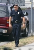 Filename=102.jpg
Filesize=398KiB
Dimensions=1200x1753
Date added=Jun 23, 2012 102.jpg