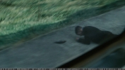 cap1203.jpg