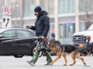 Filename=006.jpg
Filesize=215KiB
Dimensions=1200x879
Date added=Jan 20, 2015 006.jpg
