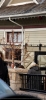 Filename=019.jpg
Filesize=634KiB
Dimensions=1200x2571
Date added=Feb 20, 2006 019.jpg