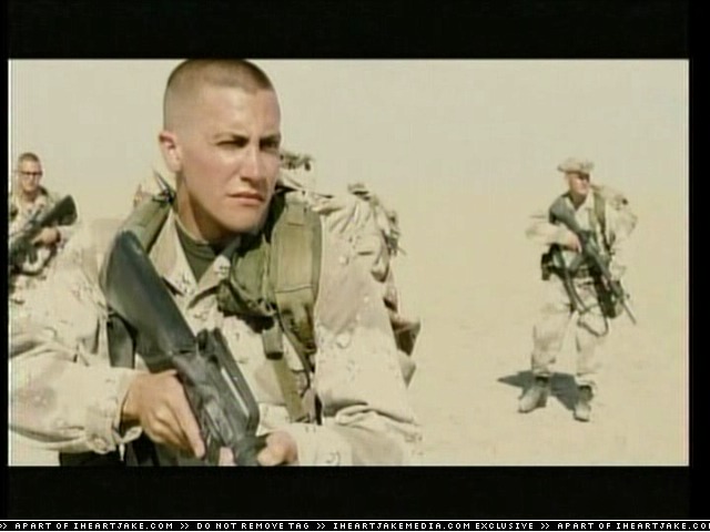 cap120.jpg