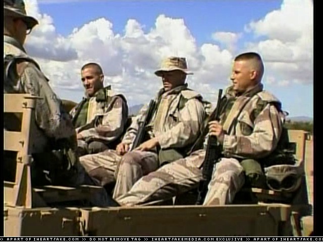 cap217.jpg