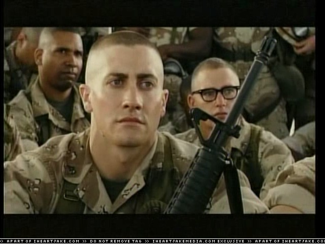 cap244.jpg