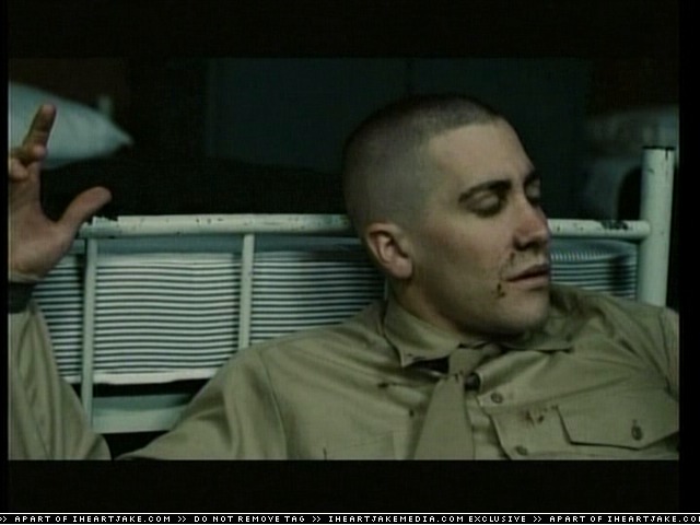 cap284.jpg