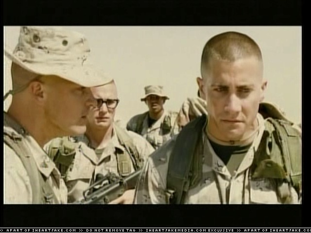 cap289.jpg