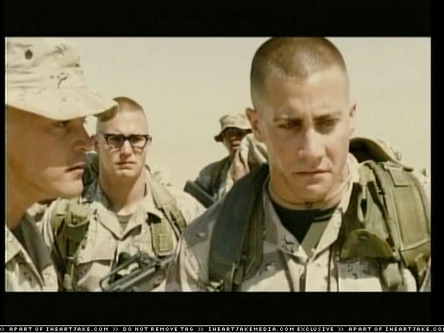 cap292.jpg