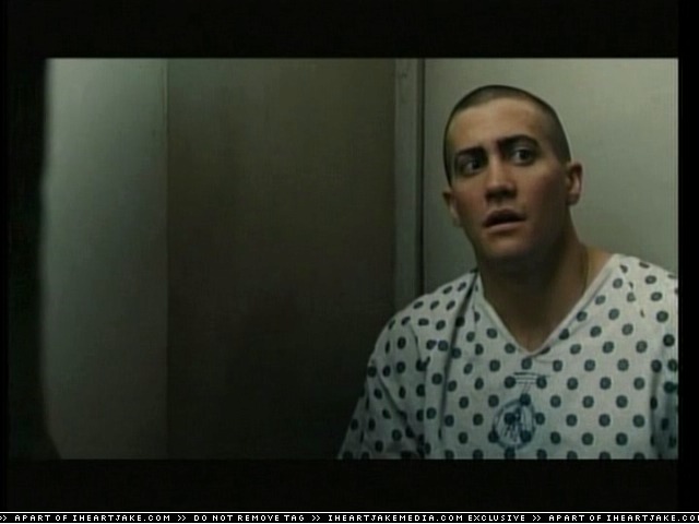 cap303.jpg