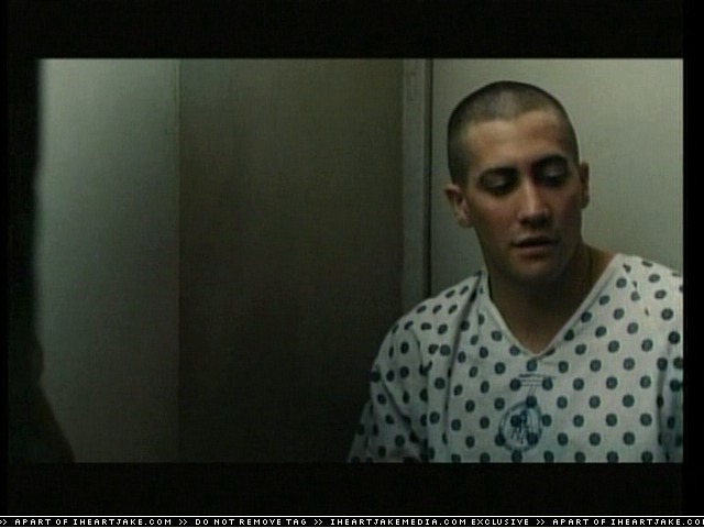 cap304.jpg