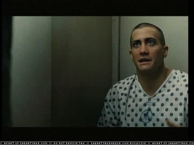 cap305.jpg