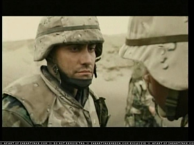 cap312.jpg