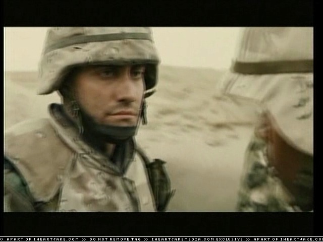 cap313.jpg