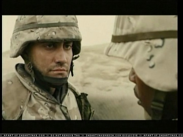cap314.jpg