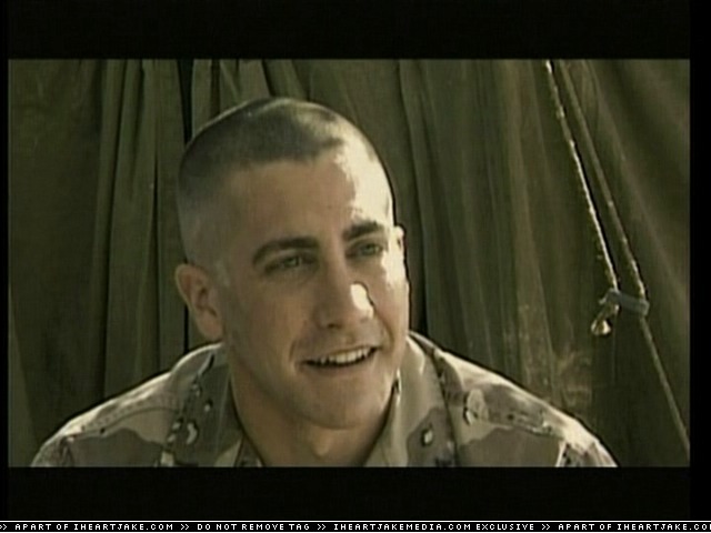 cap328.jpg