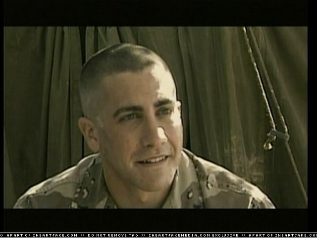 cap329.jpg