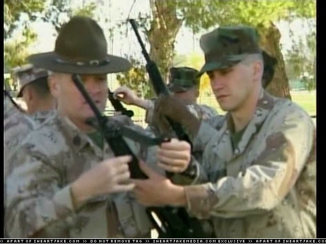cap382.jpg